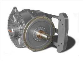 Customized Gear Reducer
